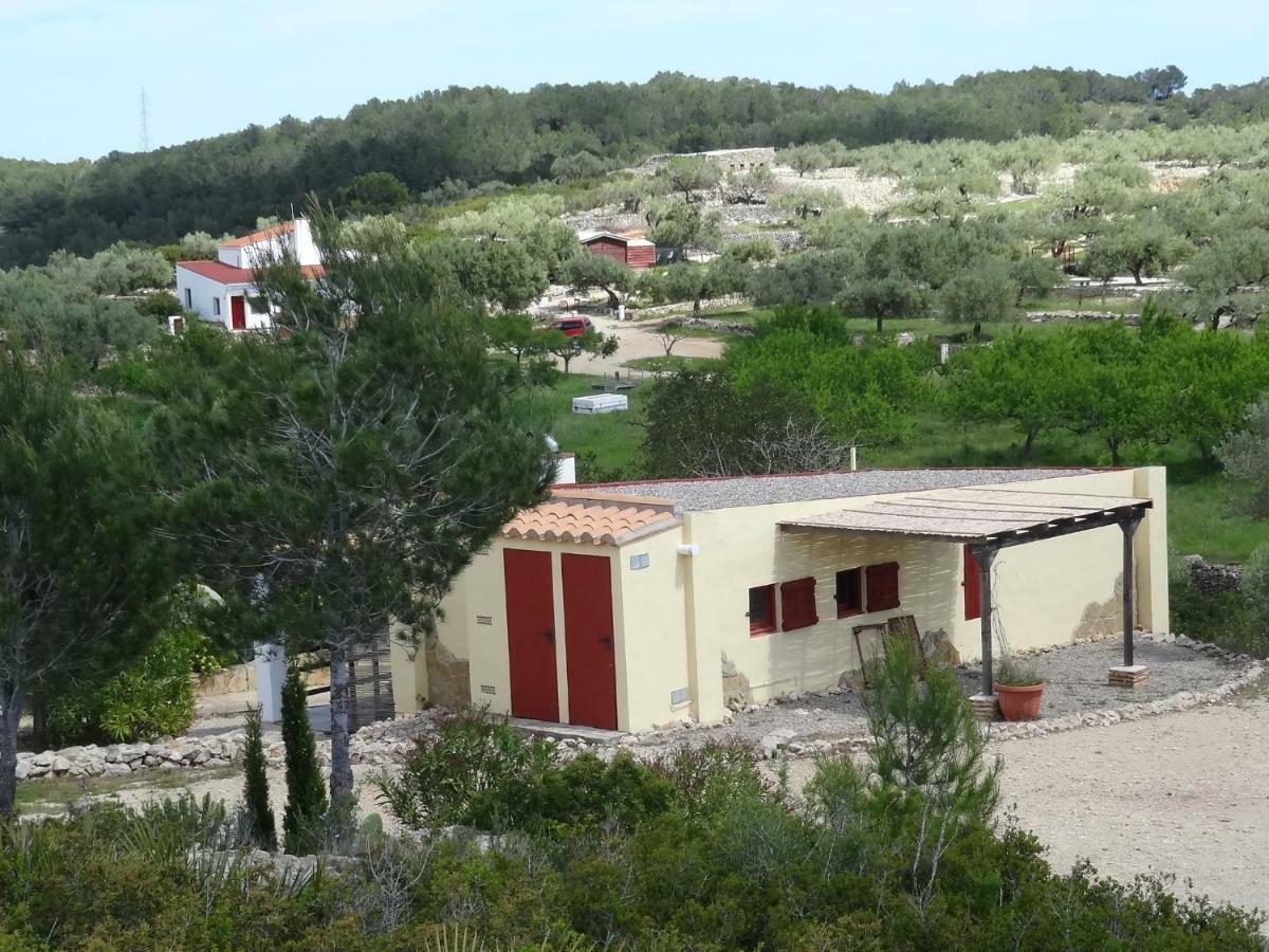 Holiday home Casa El Dragonet El Perello (Catalonia)